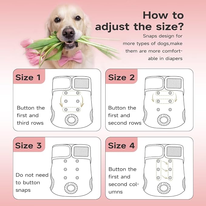 Paw Legend Washable Reusable Female Dog Period Diapers for Heat Doggie Puppy Diapers for Female Dogs (3 Pack, Medium)