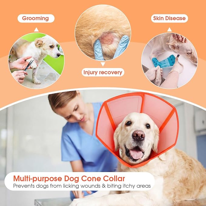 Allroaring Soft Dog Cone Collar Post Surgery Recovery,Waterproof Dogs Elizabethan Collar for Spay & Neuter Cones of Shame with Comfy Neck Padded Adjustable Cone to Stop Licking for Small Dog S Orange