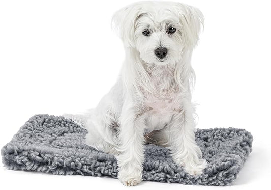 PELZIN Stoutwool Indestructible Dog Bed - Fluffy Chew Proof Dog Crate Pad - Tough Kennel Pad for Aggressive Chewers - Ideal for Extra Small Breeds & Fits 22-Inch Crate - 21"x12", Charcoal