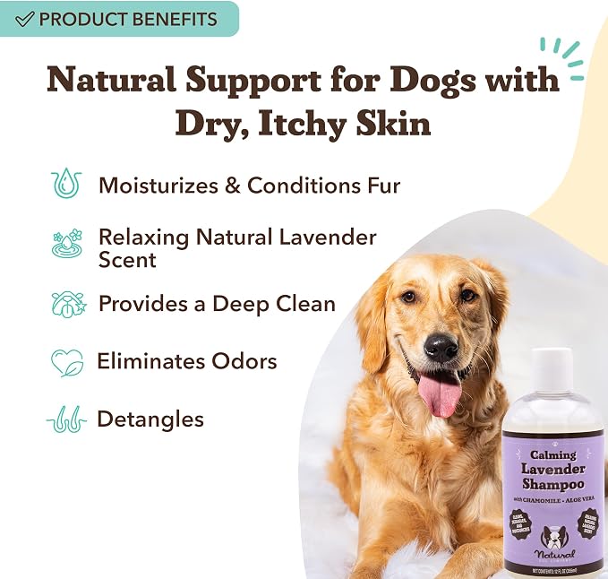 Natural Dog Company Calming Lavender Dog Shampoo – Hypoallergenic Deodorizing Wash for Smelly Dogs, Gentle Moisturizing Formula with Aloe Vera & Chamomile, 12 oz