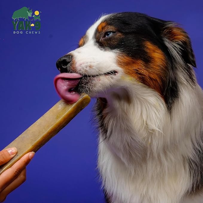 Yak9 Himalayan Yak Cheese Dog Chews, Blueberry | High Protein, Non Rawhide Dog Chews Long Lasting | Non GMO, Gluten Free, Grain Free Yak Milk Dog Chew | Small Size, 14 PC