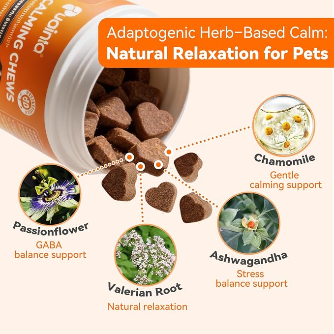 PUAINTA Dog Calming Chews – Magnesium Glycinate & Melatonin for Dogs, 4 Herbal Ingredients for Anxiety Relief, Stress & Travel Support, Chicken Flavor (90 Count)