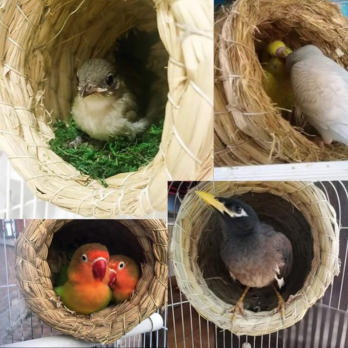 Hamiledyi Natural Wood Bird Playground Stand with 4 Large Layers - Exercise Perch and Birds Nest Straw