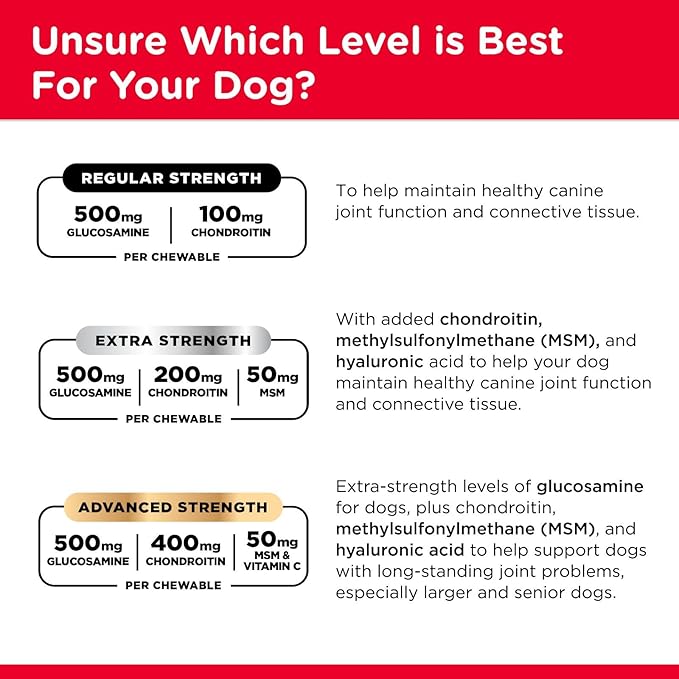 Nutri-Vet Hip & Joint Regular Strength Joint Dog Supplements, Formulated with Glucosamine Chondroitin, Pet Supplies, Hip Supplement for Dogs, Glucosamine Chews, Puppy Essentials, 75 Count Chewables
