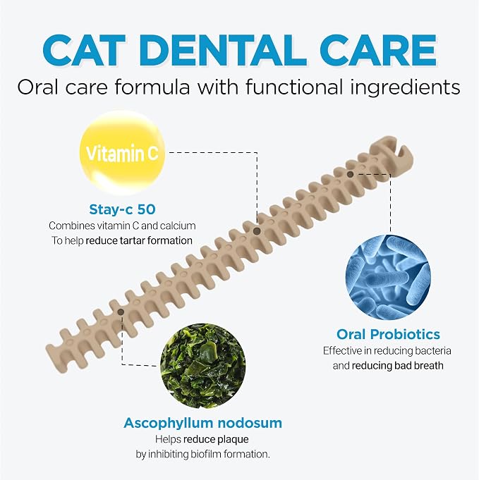 CATZZLE Cat Treats, Dental Chews for Indoor Cats, Cat Teeth Cleaning, Dental Care Snacks - Hairball Control (Salmon Flavor), 5 Sticks (1.25 oz.)