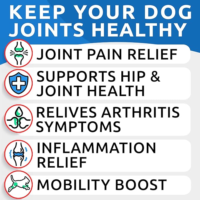 Liquid Collagen for Dogs w/Glucosamine (16 OZ) Advanced Mobility Joint Supplement for Dogs - Advanced Formula w/Chondroitin, MSM - Hip & Joint + Skin & Coat Care - Made in USA