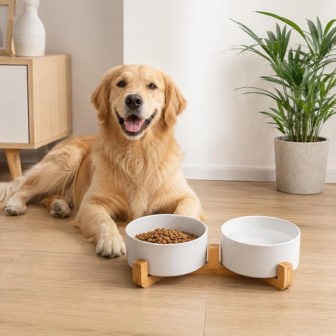 Petygooing Dog Bowls,White Ceramic Cat and Dog Bowl Set with Wood Stand for Food and Water, Non-Slip Cute Modern Pet Dish Set for Cats & Medium Dogs (28OZ)