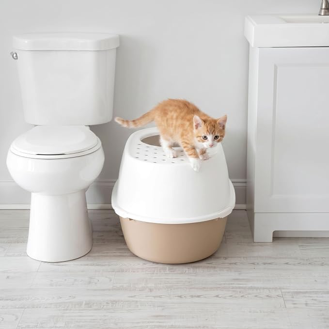 IRIS USA Extra Large Litter Box with Lid, Top Entry, Jumbo Enclosed Covered Litter Box for Large Cats, 19" L x 29" W x 15" H, Dog-Proof 4-Buckle Design, Reduced Tracking Lid, Beige/White