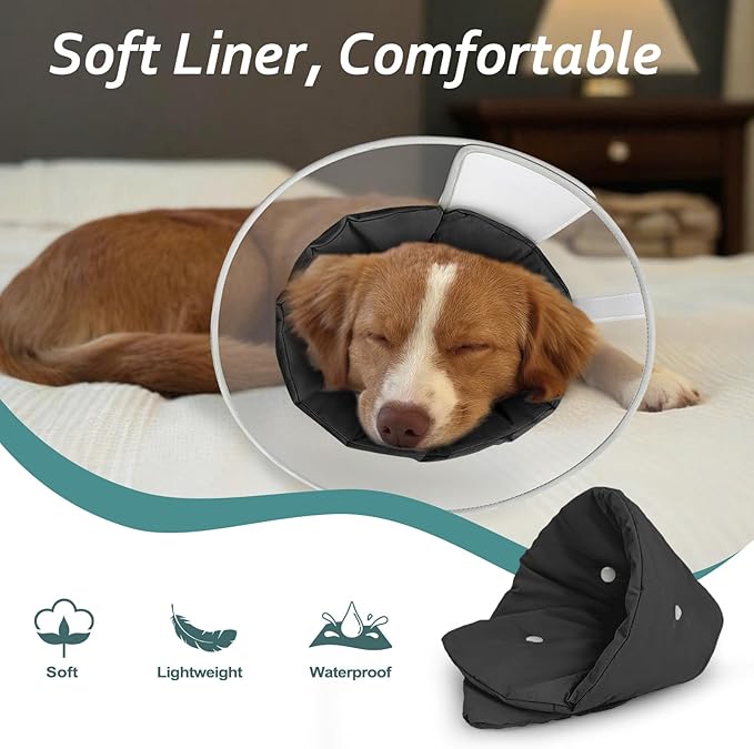 Dog Cone Collar with Snap-on Detachable Soft Liner, Lightweight Transparent Elizabethan Alternative to Stop Licking, for Spay Neuter Surgery Recovery, for Medium Large Small Dogs (Black,M)
