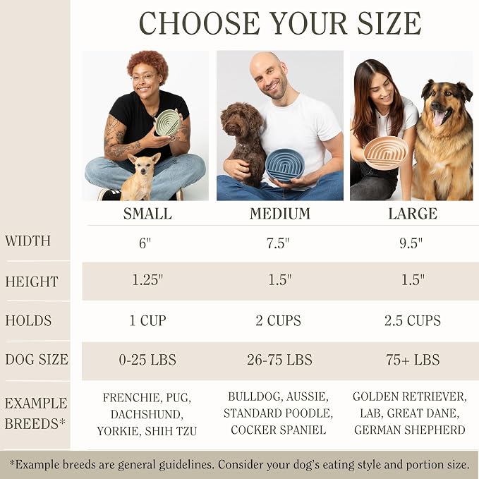 Should We Go? Slow Feeder Dog Bowls - Large Size Silicone Slow Eating Dog Bowl for Puppies & Dogs with Suction Cup -Dishwasher-Safe, Lick Mat Design, Reduces Gulping,for All Breeds,9.5”x1.5”- Ocean