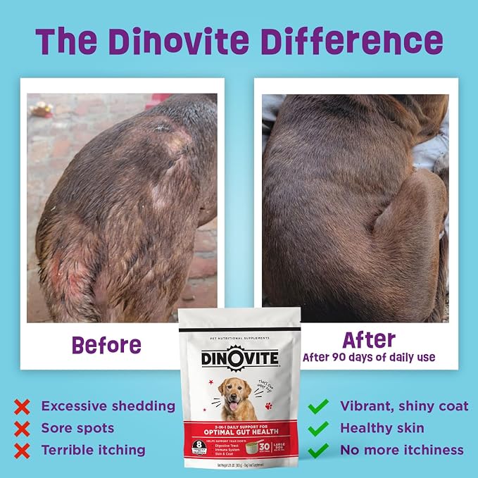 Dinovite Probiotics for Dogs, Probiotic Powder Food Topper for Medium Dogs (18-45 lb), Daily Digestive Health & Skin Support with Omega-3s, 30 Servings