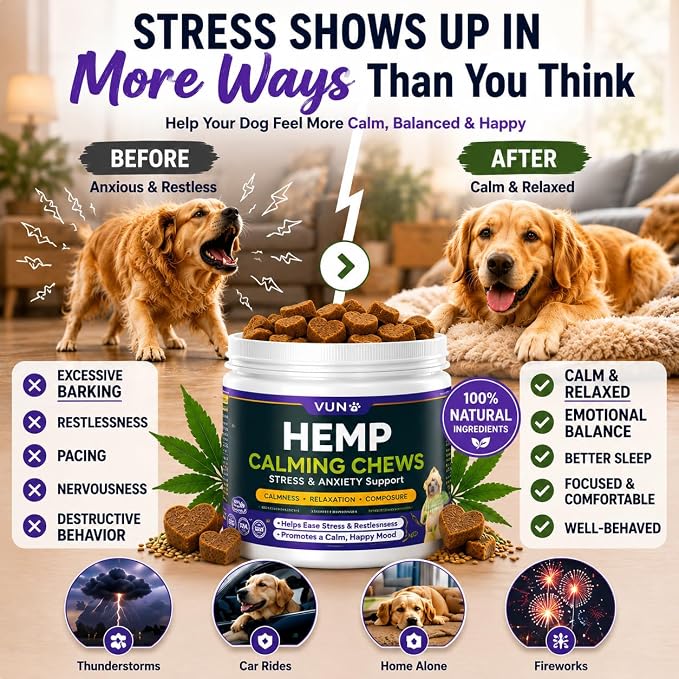 Hemp Calming Chews for Dogs, Advanced Dog Calming Chews - Anxiety Relief Supplement Treats with Melatonin L-Theanine - Sleep Aid for Separation, Barking, Stress, Hyperactivity