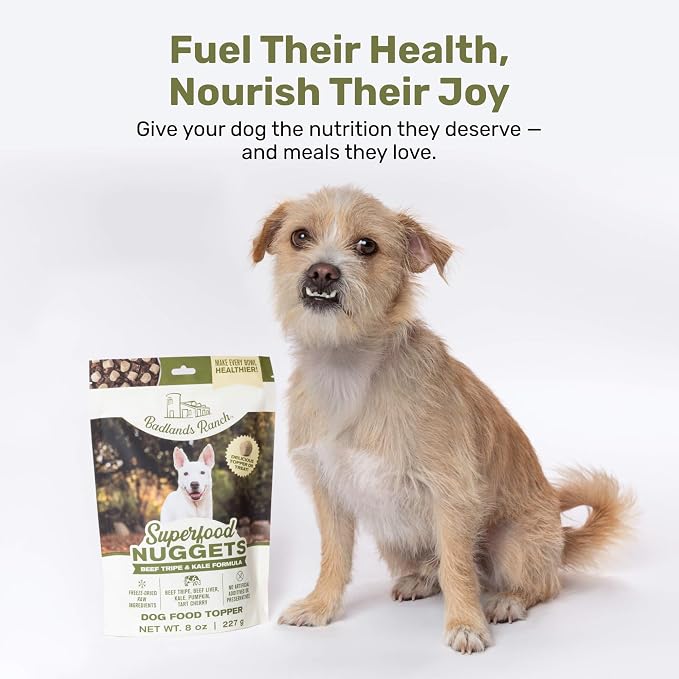 BADLANDS RANCH Superfood Nuggets – Freeze-Dried Raw Dog Treat & Food Topper, Nutrient-Dense Beef Tripe & Kale Formula, High Protein, No Artificial Additives, 8oz Bag