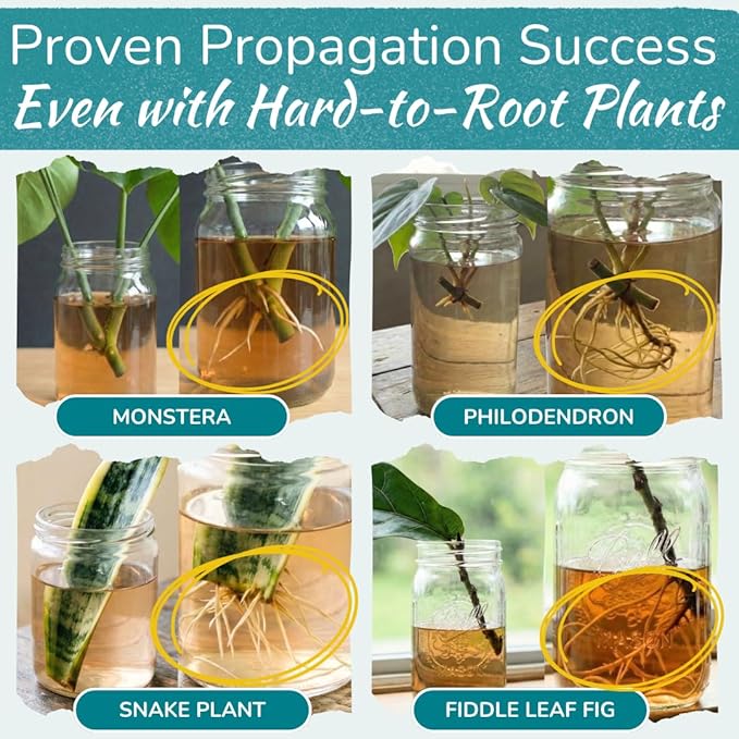 Houseplant Prop Drops – Rooting Hormone for Cuttings & Propagation Promoter | Root Growth Hormone & Root Stimulator | Supports Faster Root Development in Water & Soil Propagation | 8 oz