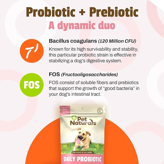 Pet Naturals Daily Probiotic Soft Chews for Dogs, Digestive and Immune Support Supplement, 1 Billion CFU Per Chew, Duck, 160 Count (Pack of 2)