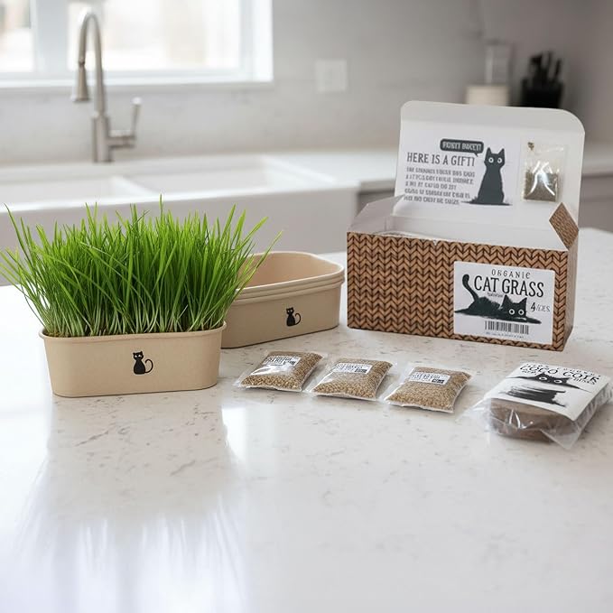 Cat Grass Grow Kit — 4-Batch Indoor Growing Set with Containers, Soil Disks & Seeds | Supports Digestion & Hairball Control | Ready to Grow, No Mess