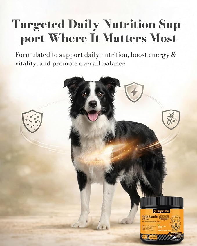 Dog Probiotics & Multivitamin Bundle, 240 Chews