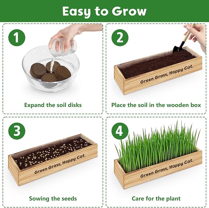 LUOJIBIE Cat Grass Kit for Indoor Cats, Cat Grass Seeds Set, Non-GMO Wheat Grass, Mothers Day Gifts for Mom, Unique Christmas Birthday Gifts for Women Men Girl, House Warming Gifts for Cat Lover