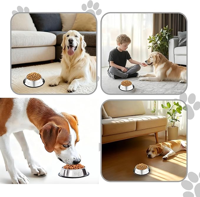 20 Pcs Stainless Steel Dog Bowl Pet Feeding Bowl with Rubber Base Non-Slip Pet Dishes Metal Dog Bowls Pet Food and Water Bowls for Small Medium Animals Kitten Rabbit (7 oz)