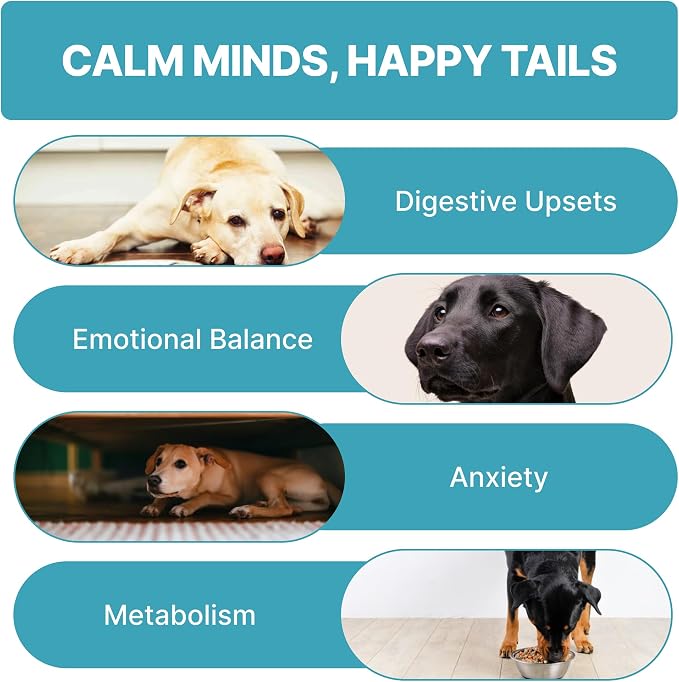 TPC Calming Chews for Dogs – 70 Soft Chicken-Flavored Treats for Anxiety Relief, Fireworks & Thunderstorm Stress, Separation, Sleep Aid & Hyperactivity – Natural Melatonin & L-Tryptophan