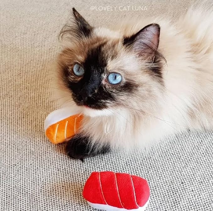 munchiecat Premium Organic Catnip Sushi Toy (1-pc) for Cats, Kittens - USA Made Durable Design for Pouncing, Batting and Play