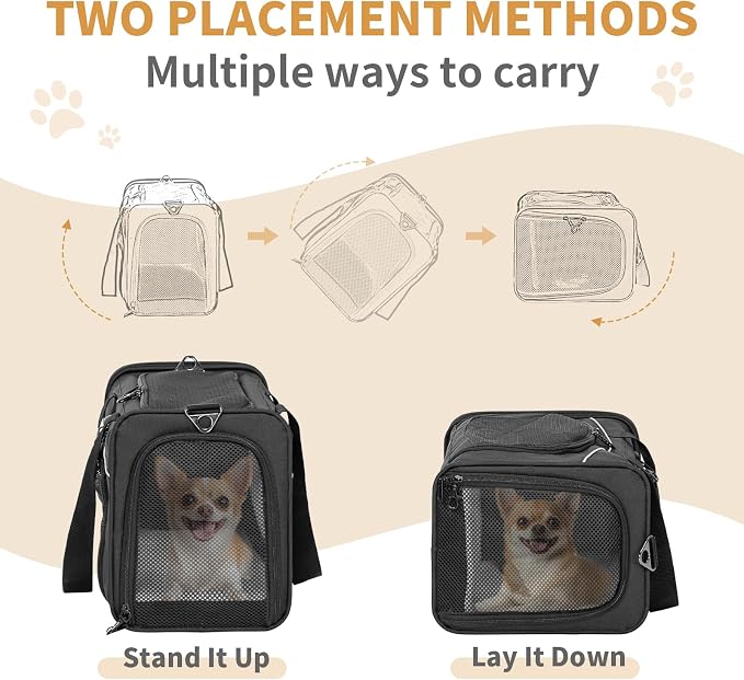 ‌Petsfit Airline Approved Pet Carrier for Small Dogs & Cats, 19x9x12 TSA Approved Carrier, with Removable Dual-Sided Padding (2-Way Placement) - Fits Under Most Airplane Seats, Escape Proof (Black)