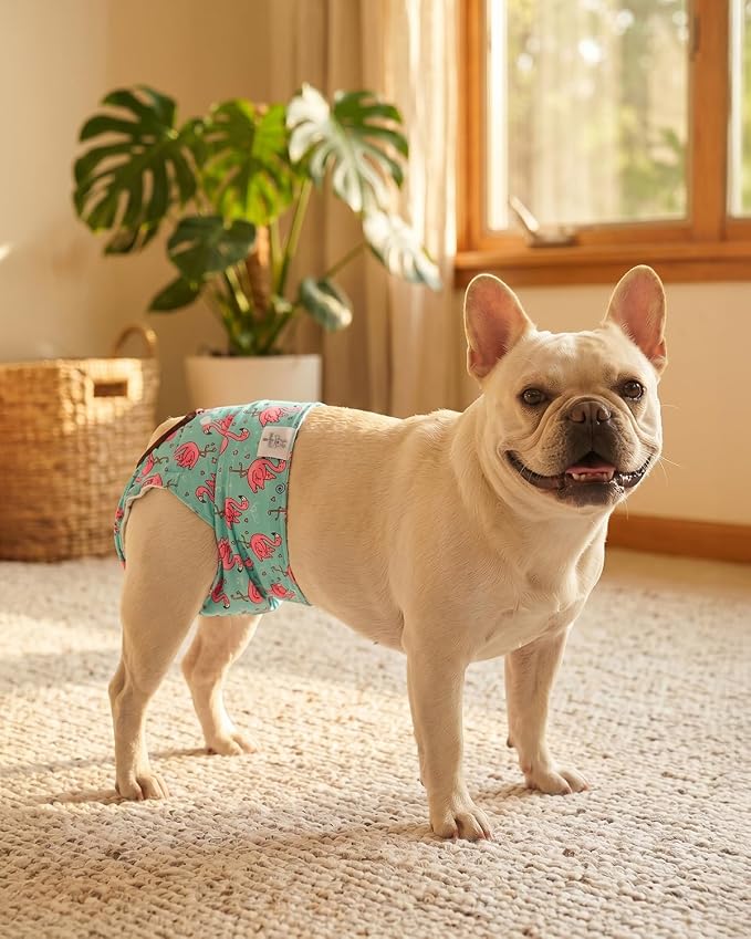 CuteBone Washable Female Dog Diapers 4 Pack Reusable Doggie Heat Diapers for Period FMG10L
