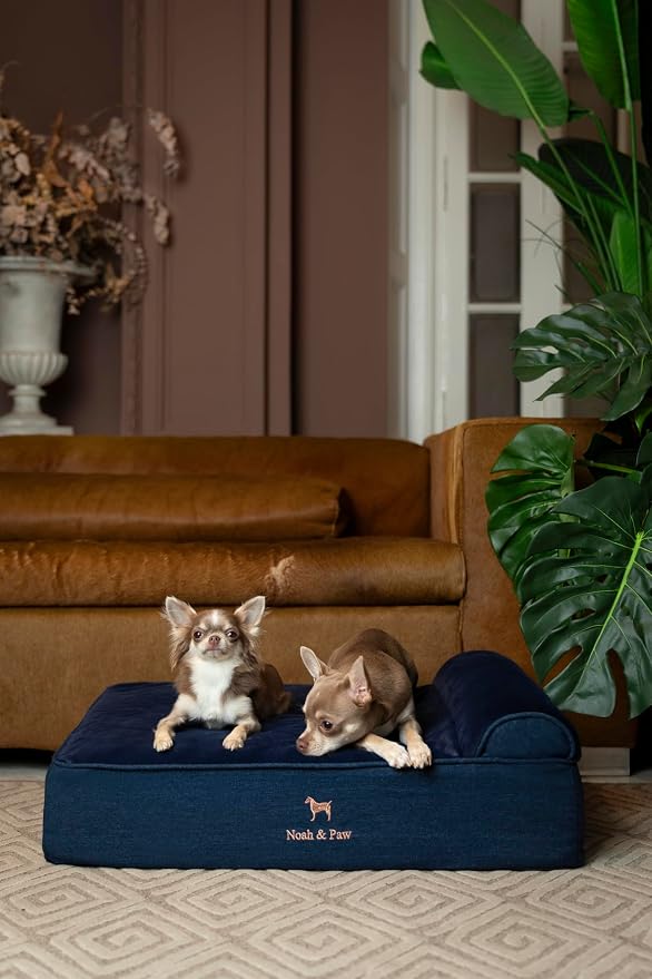 NOAH & PAW Dog Bed, 28x23x7.5 Inch, Orthopedic Dog Beds for Medium Size Pets, Eggshell Memory Foam Infused with Cooling Gel, Water Resistant, Machine Washable, Includes Inner Cover (Denim Collection)