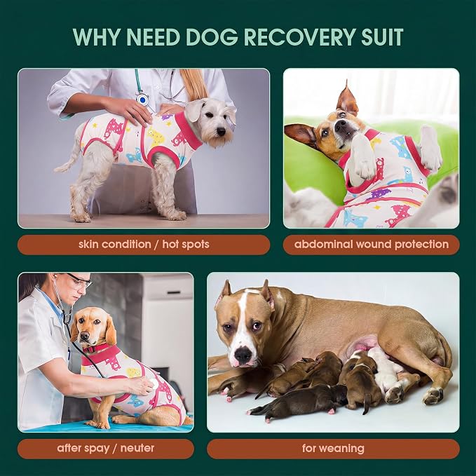 Kuoser Recovery Suit for Dogs After Surgery,Printed Dog Surgery Suit Female Male Spay Neuter,Anti-Licking Dog Onesie for Abdominal Wounds Skin Disease,Pet Surgical Recovery Bodysuit Cone Alternative,S