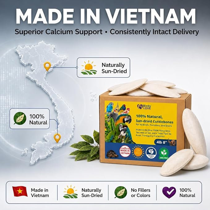 Birds LOVE 7.5-8" Cuttlebones for Birds – 100% Natural Sun-Dried Calcium & Beak Conditioning Supplement for Parakeets, Budgies, Cockatiels, Finches & Canaries – 4 lb with Holder – Made in Vietnam