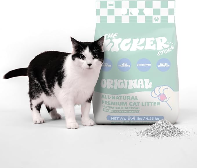 CLR2000B-SET3 Unscented Premium Clumping Bentonite Clay Cat Litter w/Activated Charcoal, Natural Odor Control, 99% Dust-Free, 9.37 LBS (Set of 3)
