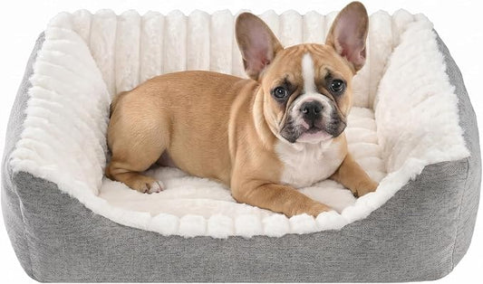 Avont Supportive Dog Bed for Small Dogs & Cats, Plush Foam Fill, Cream | Removable Machine Washable Cover, Low 5.12" Entry for Pups & Seniors, 7:3 Foam-PP, Non-slip Bottom, Hidden Chew-proof Zippers