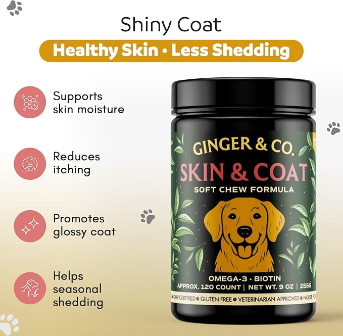 GINGER & CO. Skin & Coat Support Chews for Dogs – Omega 3 & Salmon Oil 120CT