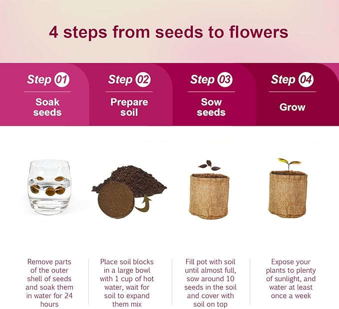 5 Indoor Flower Growing Kit with Cat Grass Kit