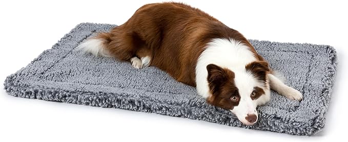 PELZIN Stoutwool Indestructible Dog Bed - Fluffy Chew Proof Dog Crate Pad - Tough Kennel Pad for Aggressive Chewers - Washable, Ideal for Large Breeds & Fits 36-Inch Crate - 35"x22", Charcoal
