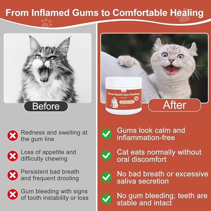 Oral Health for Cats, Cat Gingivitis Treatment, Reduce Gum Inflammation, Redness & Pain, Combats Gum Disease, Natural Plant-Based Active Formula, Cat Oral Care, Gums Health Treatment, 4 oz, 113g
