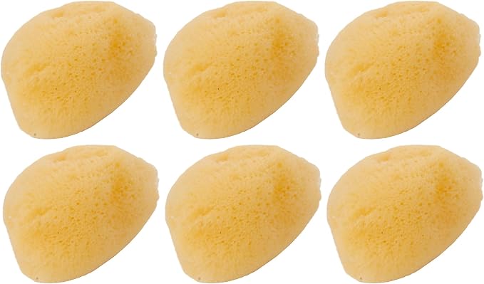 Zoo Med 6 Pack of Hermit Crab Sea Sponges