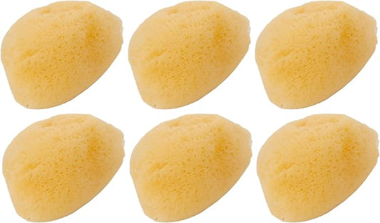 Zoo Med 6 Pack of Hermit Crab Sea Sponges