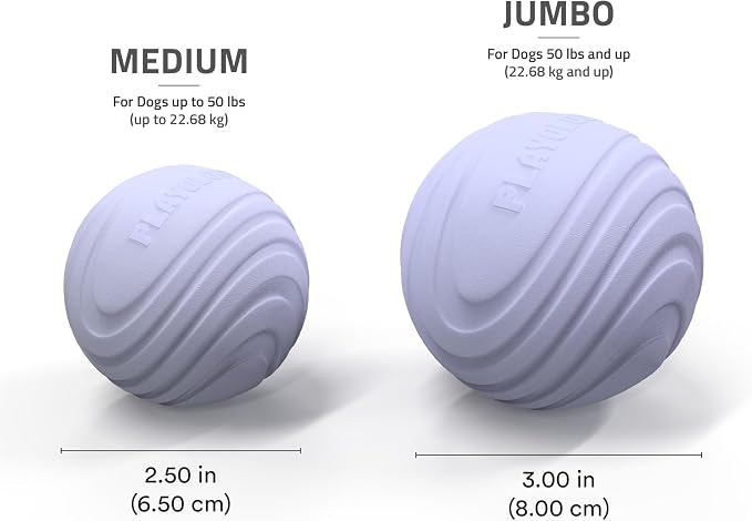 Playology Dog Toys | Dual Layer Ball Durable Chew Toy for Tough Chewers | Lamb Scented Medium Dog Toy | Chew Toys for Dogs