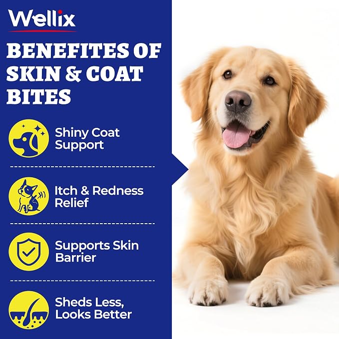 Wellix 19.4oz Dog Skin and Coat Supplement, Omega 3 Fish Oil for Dogs, Supports Healthy Skin & Shiny Coat, Itching Relief & Anti-Shedding, Tasty Dog Allergy Chews, Daily Nutritional Support