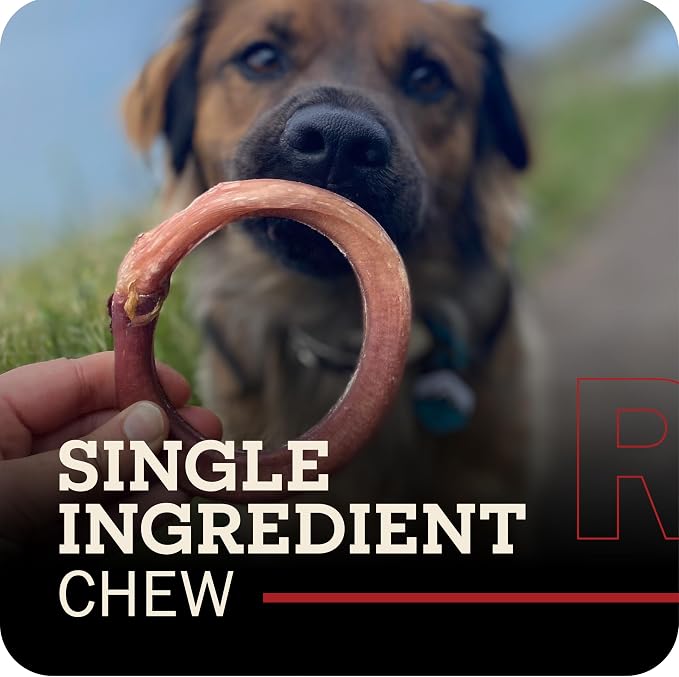 Redbarn Pet Products All-Natural 4" Bully Stick Rings for Dogs - Premium Grain-Free & Rawhide-Free Single Ingredient Long Lasting Low Odor Dental Treat for Chewers - 3 Count