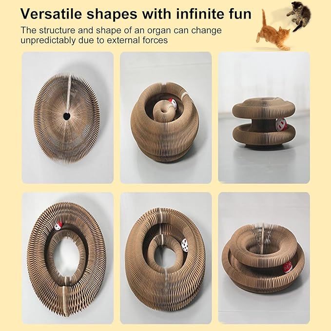 3PCS Kitty Curls Cat Toy,Magic Organ Cat Toy,Cat Scratcher for Grinding Claw Cardboard Cat Toys,Interactive Scratch Pad with Toy Ball,Durable Eco-Friendly Ring for Play, Chase & Scratch