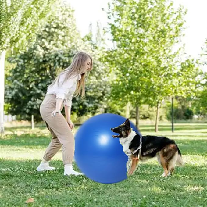 mwater Dogs Herding Ball Large 25 Inch