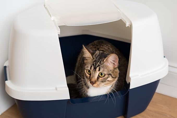 IRIS USA Jumbo and Corner Cat Litter Box with Scoop Set, 2 Pack, Navy