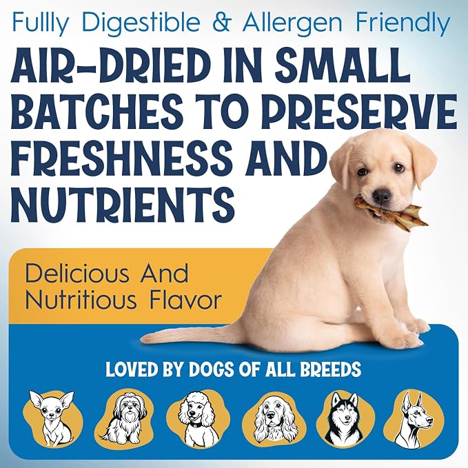 Premium Duck Feet for Dogs - Natural Dehydrated Treats - Whole Poultry Digestible Chews - for Pets (200 Count)