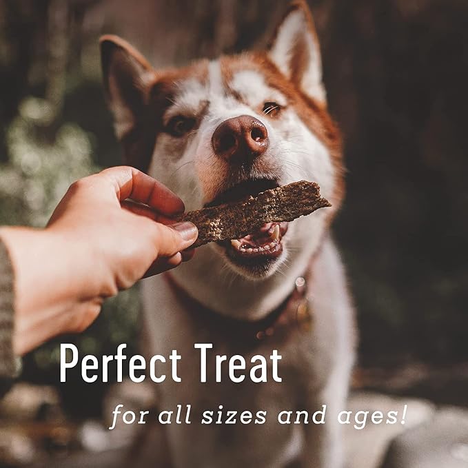 Farm Hounds - Duck Strips - Premium Natural Jerky for Dogs - Made from 100% Humanely Raised Duck - Great for Training & Treats - No Added Fillers - Made in USA - 4.5 oz - 2 Pack