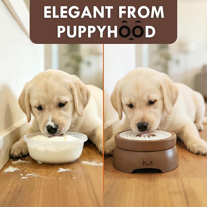 Slow Feeder Dog Bowls for Liquid Treat, Entertained Ball-in, Dog Lick Bowl, Pup Lick Toy for Large Medium Small Breeds Dietary Supplement/Post-op Nutrition (Mocha Brown)