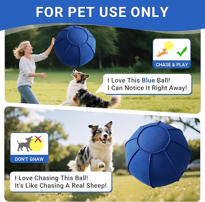 Dog Toy Ball for Dogs, Interactive Dog Training Toy for Medium Large Breeds Outdoor Play, Collies Exercise Agility (Blue,L)