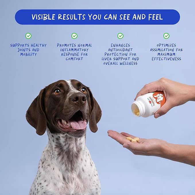 Turmeric for Dogs 120 Tablets - Anti-Inflammatory, Joint & Collagen | Curcumin & BioPerine for maximum absorption. Supports joint health, reduces inflammation & eases pain. 120 chewable tablets.