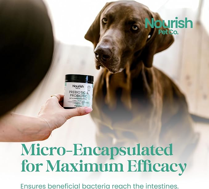 Nourish Pet Co. Probiotic Supplement for Dogs & Cats – 5 Billion CFU Digestive Support Formula with Prebiotics, Gut Health Balance, Immune Support, and Digestive Enzymes for Daily Pet Wellness